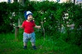 A 2-year-old kid in a bright red T-shirt on a background of green grass. Royalty Free Stock Photo