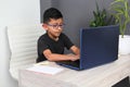 Boy does home schooling takes online classes at home on a desk with a laptop, studies, is surprised and participates in class