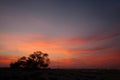 Tree of life during sunset, Bahrain Royalty Free Stock Photo