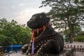 350 year old monolithic statue of Nandi (Bull), Chamundi Hill, Mysore, India. Royalty Free Stock Photo