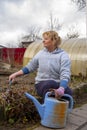 A 65-year- old woman works in the garden Royalty Free Stock Photo