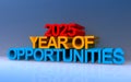 2025 year of opportunities on blue