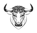 Year of the Ox, zodiac sign Taurus, bull s face, farm animal. Isolated illustration, line logo, stylization of tattoo