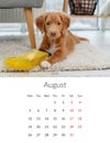 2024 year Photo calendar with cute dogs