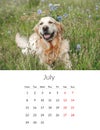 2024 year Photo calendar with cute dogs