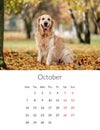 2024 year Photo calendar with cute dogs