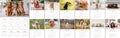 2024 year Photo calendar with cute dogs