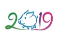 Year Of the pig - 2019 chinese new year