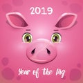 2019 year of the pig. New year greeting card with funny cartoon pig face.