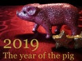 Happy new year 2019 The year of the pig