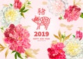 2019 Year of the PIG