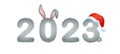 2023 year of rabbit. Large numbers with cute bunny ears. Chinese New Year symbol. Festive greeting card. Vector