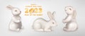 2023 year of the Rabbit 8