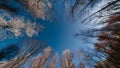 Year round sky panorama captures the beauty of changing seasons Royalty Free Stock Photo