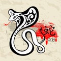 Year of the Snake 2013 Royalty Free Stock Photo