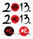 Year of the snake