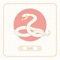 Year snake Chinese horoscope vector line art and pattern on white background.