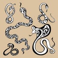 Year snakes symbol Royalty Free Stock Photo