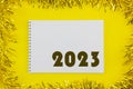 2023 year. Summing up the results of the year. Plans for the coming year. The calendar.