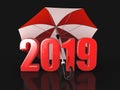 Year 2019 under an umbrella