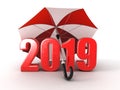 Year 2019 under umbrella