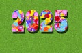 Year 2025, written with floral pattern of many different flowers