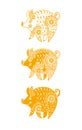 Year of The Yellow Pig. Vector template three stylized pigs with ornament.