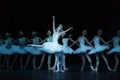 Yearning for love-Ballet Swan Lake Royalty Free Stock Photo