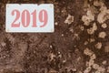 2019 Years on Dirty vehicle license plate on background.