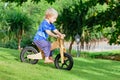 2 - 3 years joyful child riding a wooden balance bike Royalty Free Stock Photo