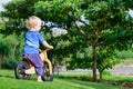 2 - 3 years joyful child riding a wooden balance bike Royalty Free Stock Photo