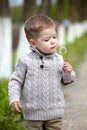 2 years old Baby boy with dandelion Royalty Free Stock Photo