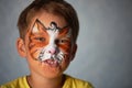 Years old boy with blue eyes face painting of a cat or tiger. Orange. Royalty Free Stock Photo