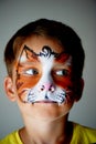 Years old boy with blue eyes face painting of a cat or tiger. Orange. Royalty Free Stock Photo