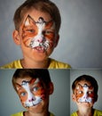 Years old boy with blue eyes face painting of a cat or tiger. Orange. Collage Royalty Free Stock Photo