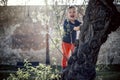 A small boy having fun climbing up on the tree in the park Royalty Free Stock Photo