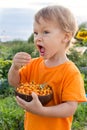 2 years old child eating fresh sea buckthorn berries outdoors in summer in countryside. Happy summer vacation in countryside