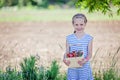 7 years old girl holding basket full of strawberries Royalty Free Stock Photo