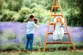 6 years old photographer boy take picture of small beautiful curly blonde girl in lavender field. Childhood close to nature. Royalty Free Stock Photo