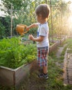 Cute 3 years old toddler boy watering garden from plastic can Royalty Free Stock Photo