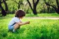 3 years old toddler child boy walking alone in spring or summer walk in garden Royalty Free Stock Photo