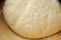Yeast Dough Royalty Free Stock Photo