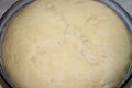 Yeast dough