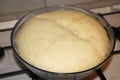 Yeast dough