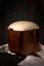 Yeast dough rises in the bowl Royalty Free Stock Photo