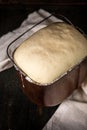 Yeast dough rises , top view Royalty Free Stock Photo