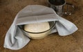 Yeast dough, sourdough, opara in a glass container under a gray linen towel and a sieve for flour on a brown background Royalty Free Stock Photo