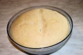 Yeast dough