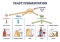 Yeast fermentation process principle for drinks and food outline diagram