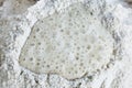 Yeast Fermented and Whole Wheat Flour